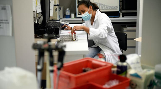 Analyse microscopique au Laboratoire Mansour